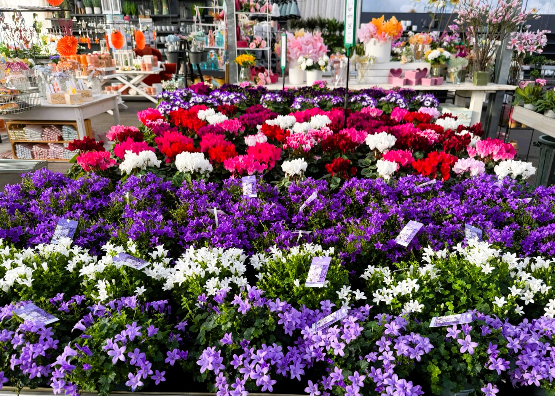 Monheimer Blumenmarkt